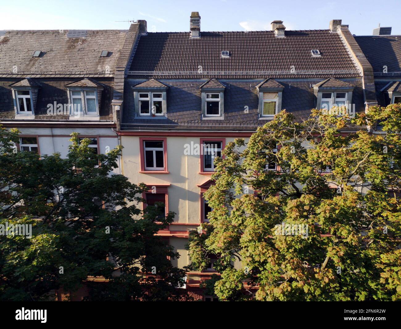 Behind Building City view behind green trees hi-res stock photography and images - Alamy