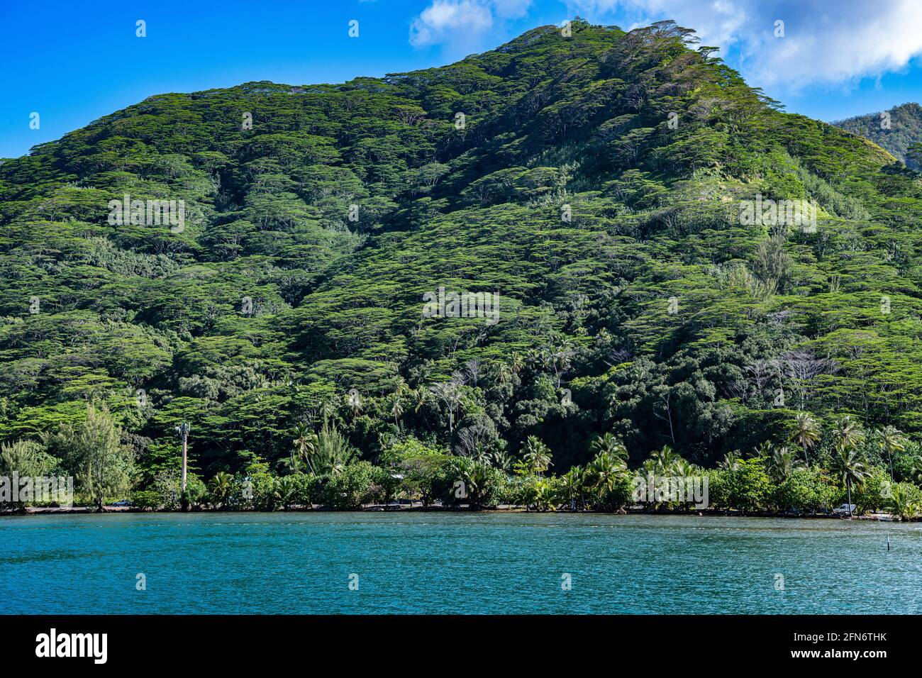 Tahiti french polynesia vegetation hi-res stock photography and images ...