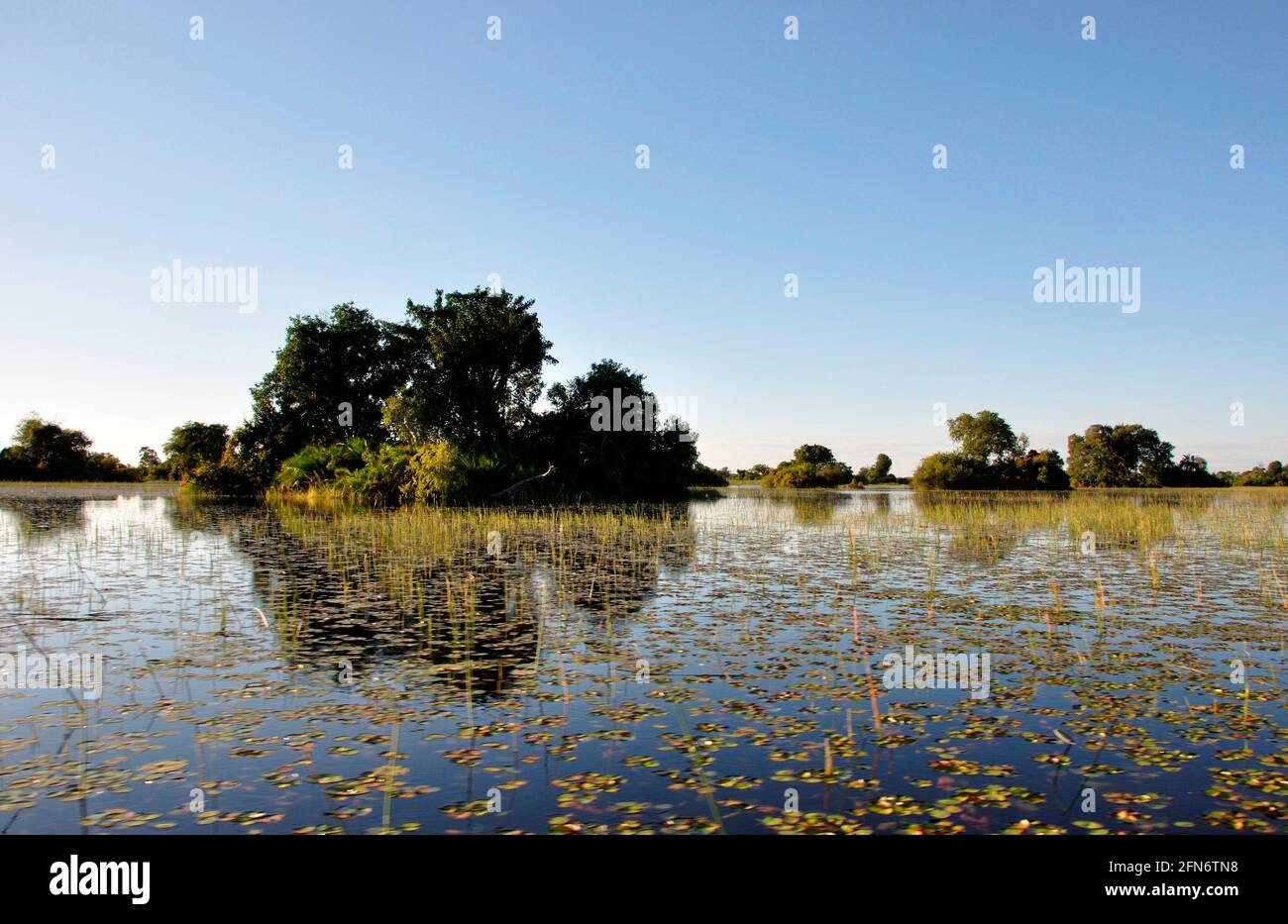 Bootsausflug durch die Okavango-Delta-Sümpfe, die seit 46 Jahren nicht mehr so stark mit Regenwasser aus Angelo überflutet wurden. Boat-trip through t Stock Photo