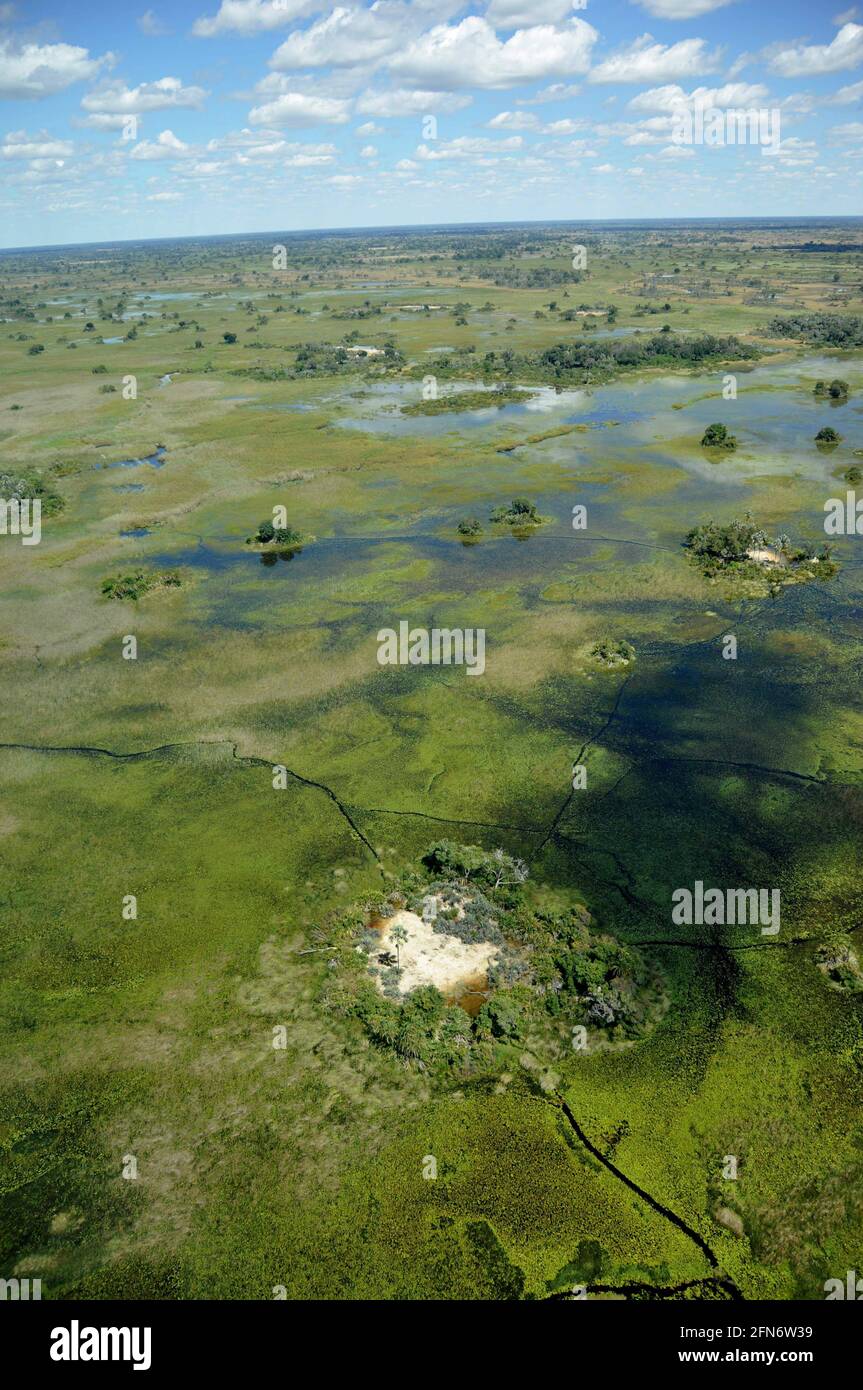 Das Okavango-Deltas, der Welt grösstes Binnendelta in der Kalahri ist seit über 45 Jahren nicht mehr so von Angola aus geflutet worden. Stock Photo