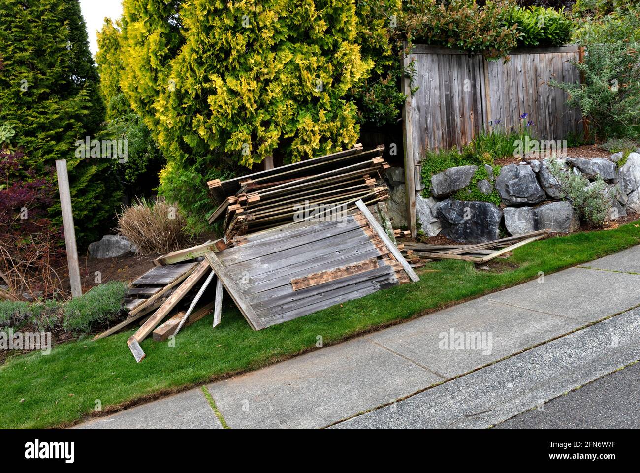 Old home wooden fence being tore down to prepare to install new one Stock Photo