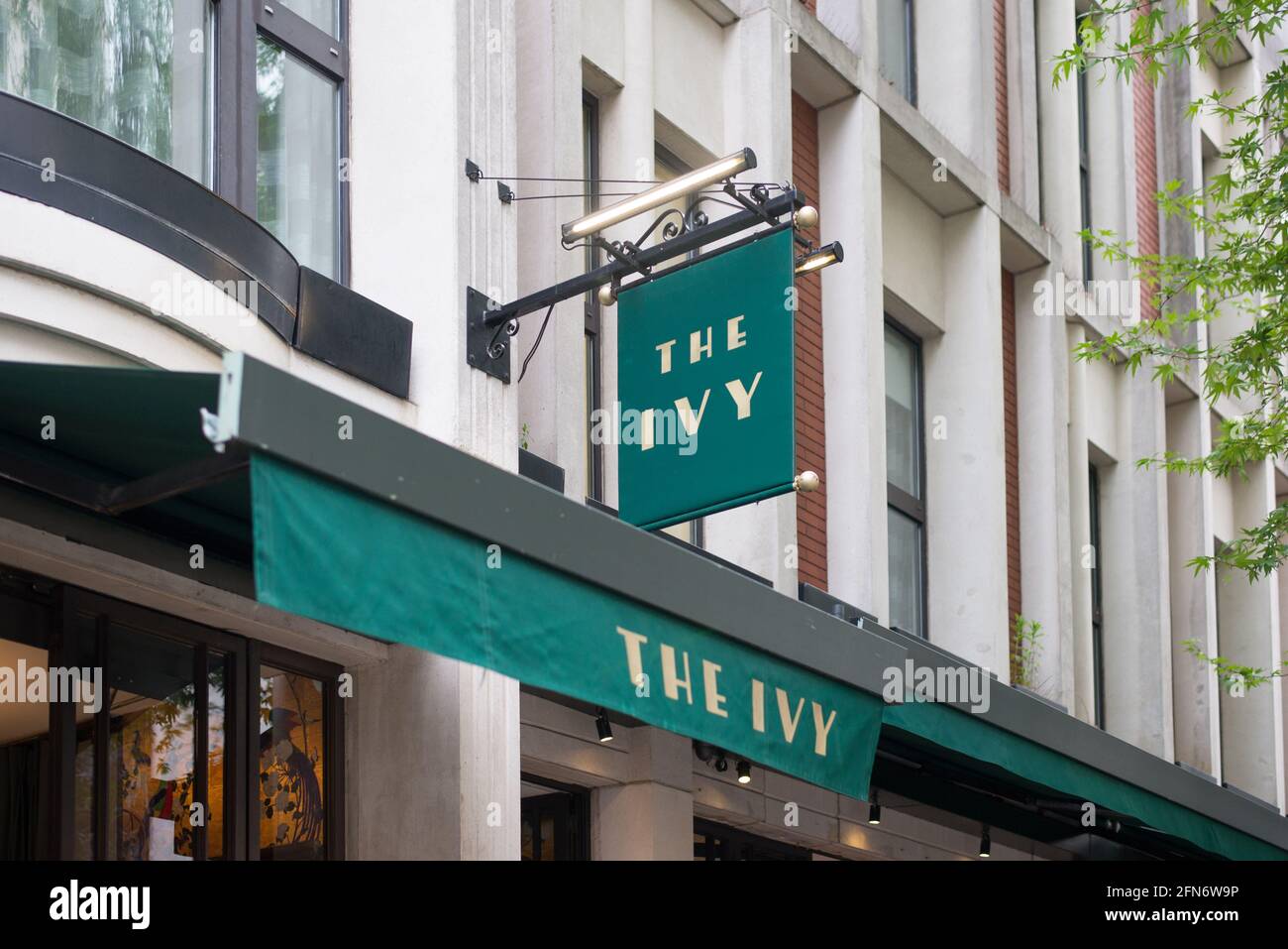 The Ivy Kensington Brasserie Cafe Logo Shop Sign Stock Photo Alamy