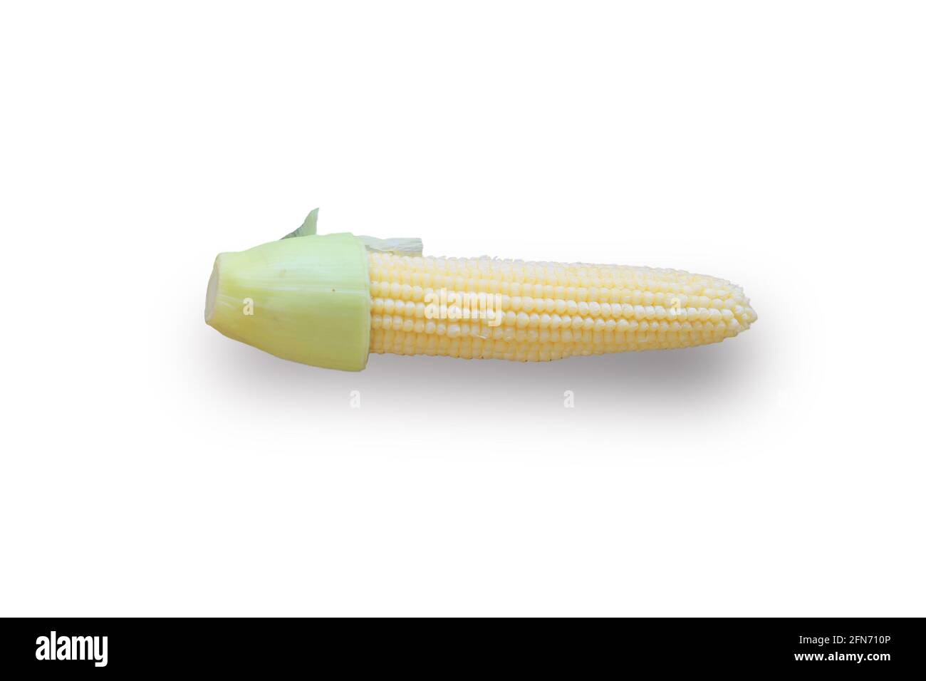 Fresh baby corn isolates on white background. Stock Photo