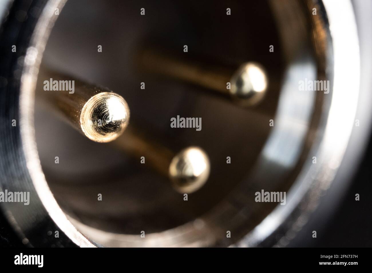 Angled macro closeup of gold female XLR pins on bottom of condenser microphone Stock Photo