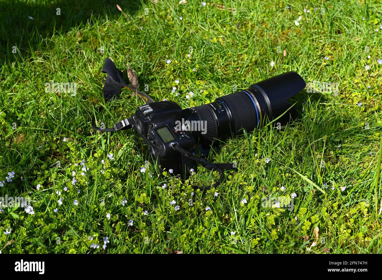 Spring And Camera Field in bloom closeup camera hi-res stock photography and images - Alamy