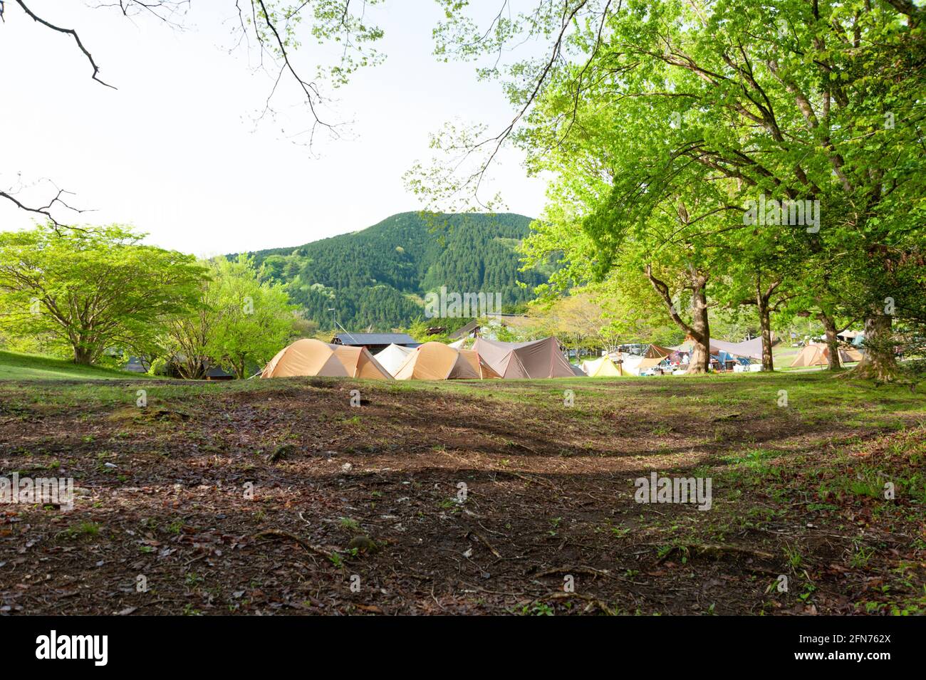 Camping Tents in FujiHakoneIzu National Park. Lake Tanuki Campground