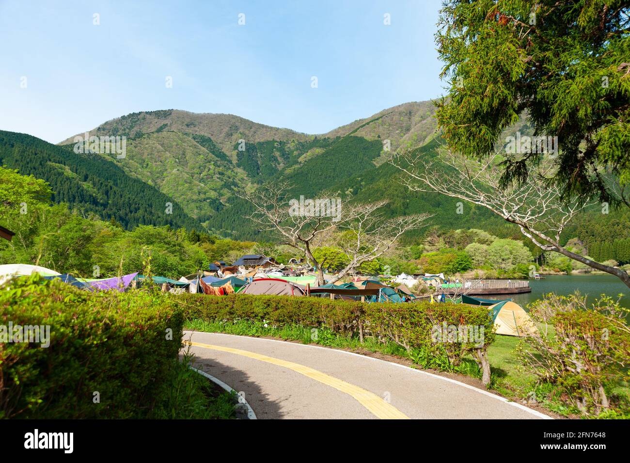 Camping Tents in FujiHakoneIzu National Park. Lake Tanuki Campground