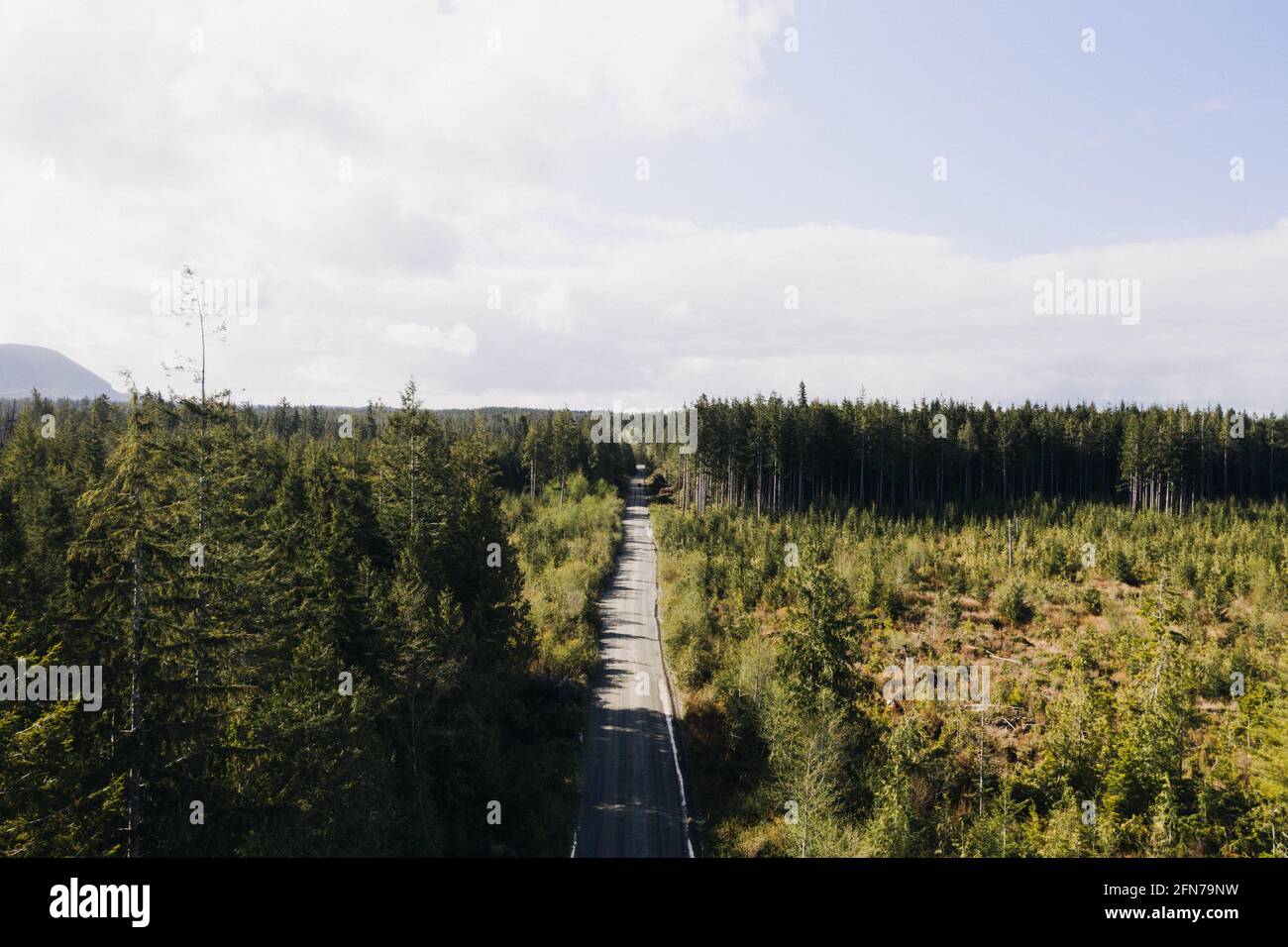 Aerial view of a road amidst trees under clear sky Stock Photo - Alamy