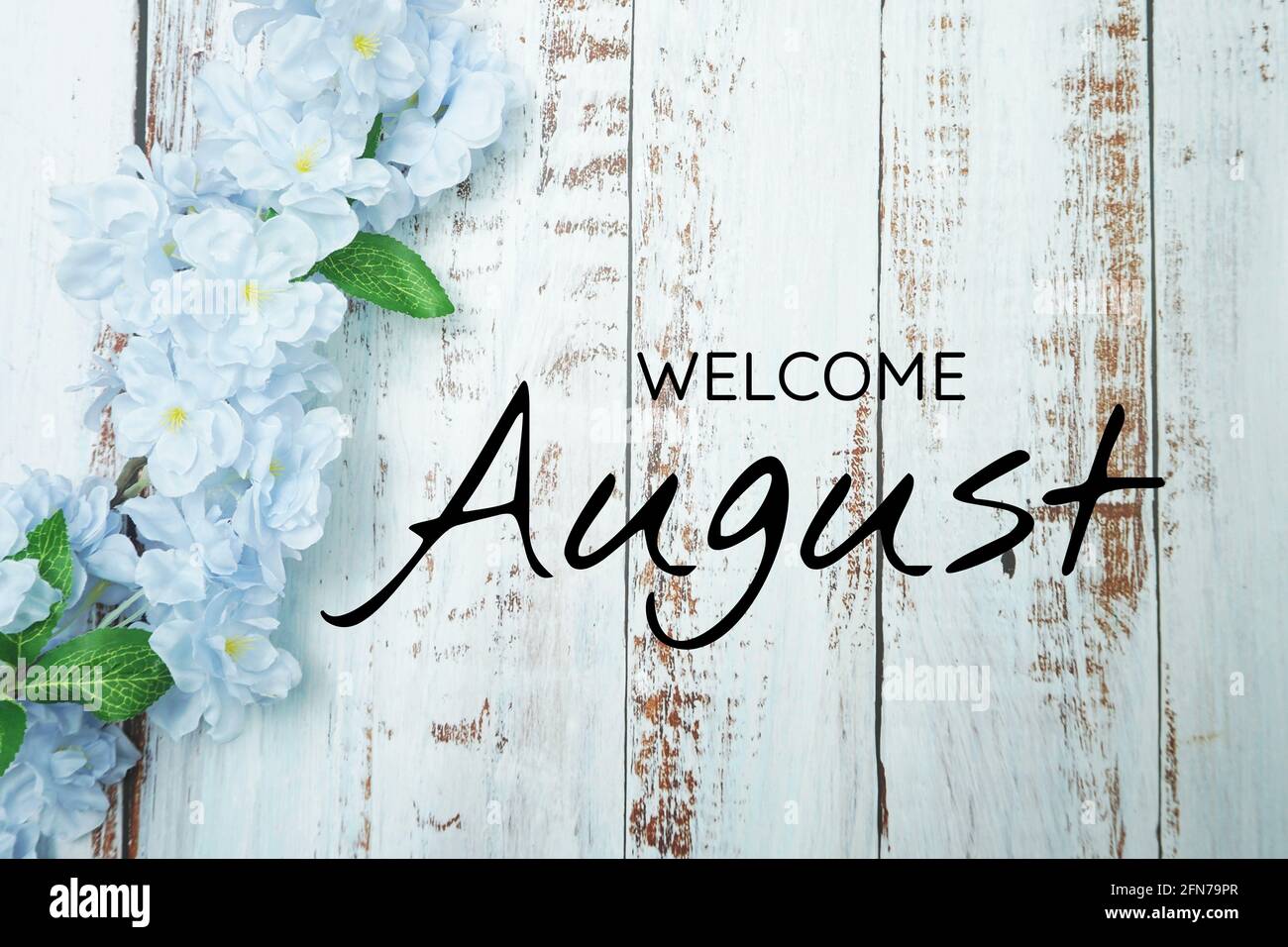 Welcome August text and blue flower decoration on wooden background ...