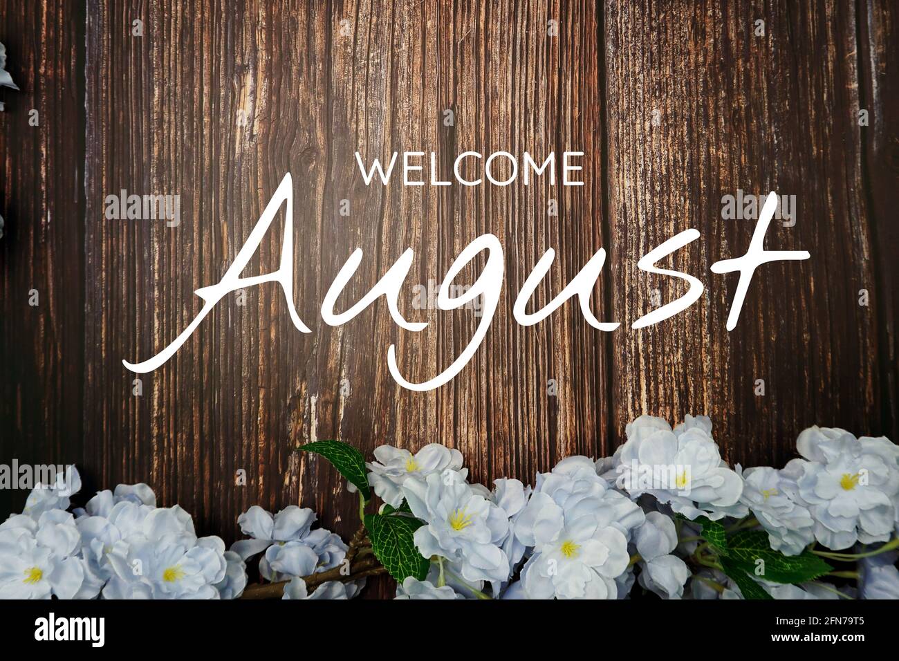 Welcome August text and blue flower decoration on wooden background ...
