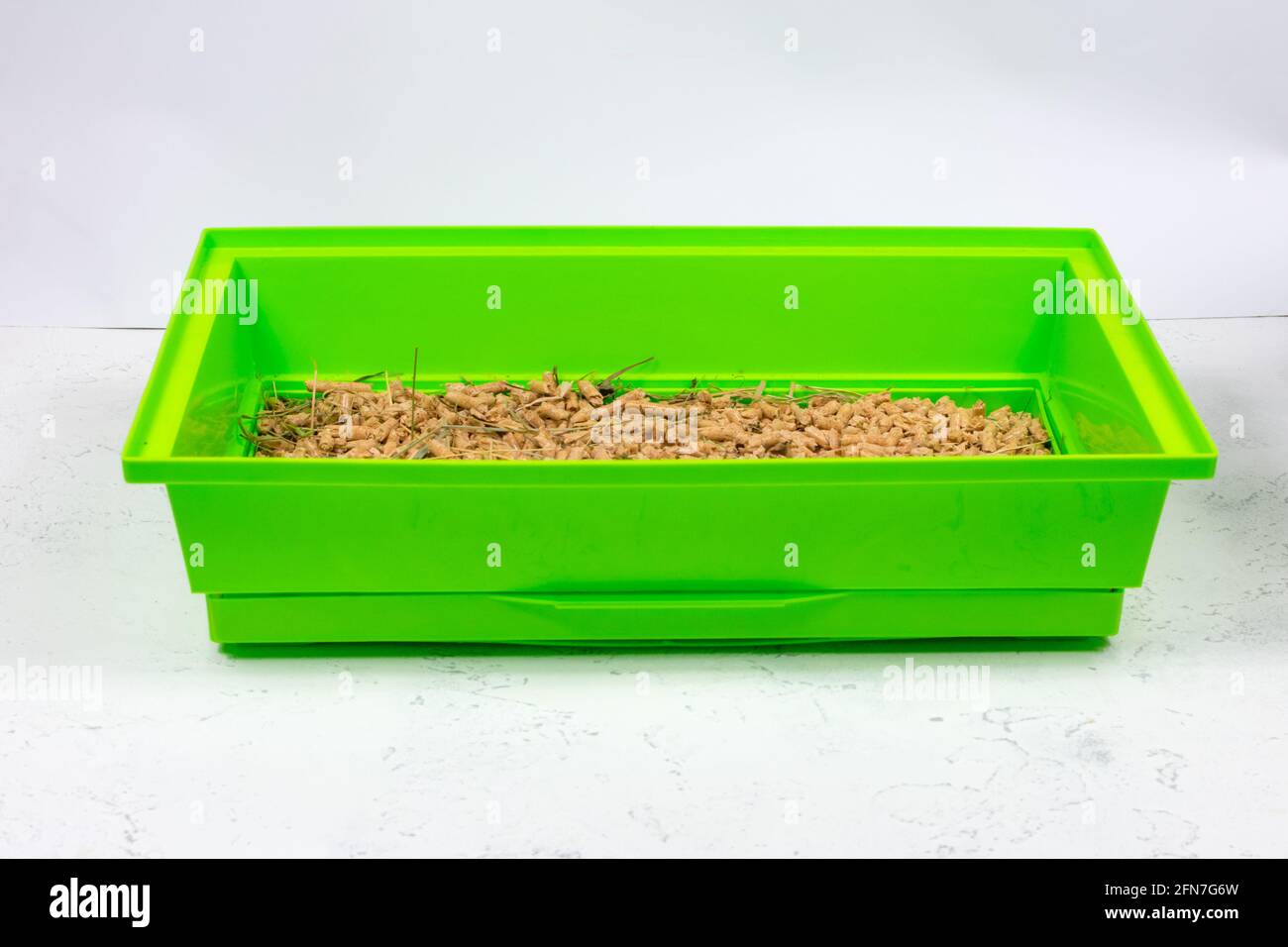 Green pet cage tray with sawdust. Keeping pets in cages. Side view. Stock Photo