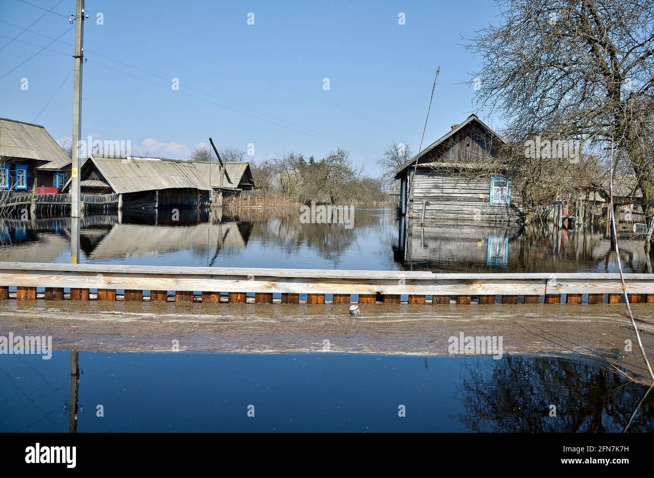 Belarus. Villagers Snyadin - 16.04.2013: Every year the villagers Snyadin are struggling with the consequences of a flood of the Pripyat River. 16.04.2013.  Stock Photo