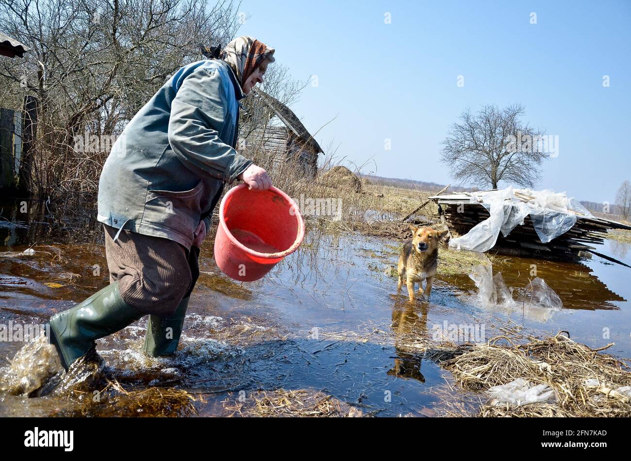 Belarus. Villagers Snyadin - 16.04.2013: Every year the villagers Snyadin are struggling with the consequences of a flood of the Pripyat River. 16.04.2013.  Stock Photo