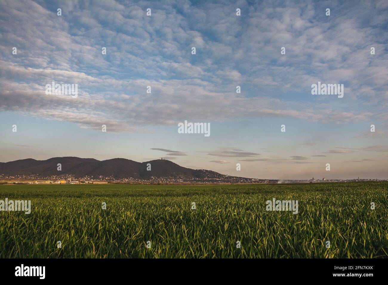 Green field under cloudy sky Stock Photo - Alamy