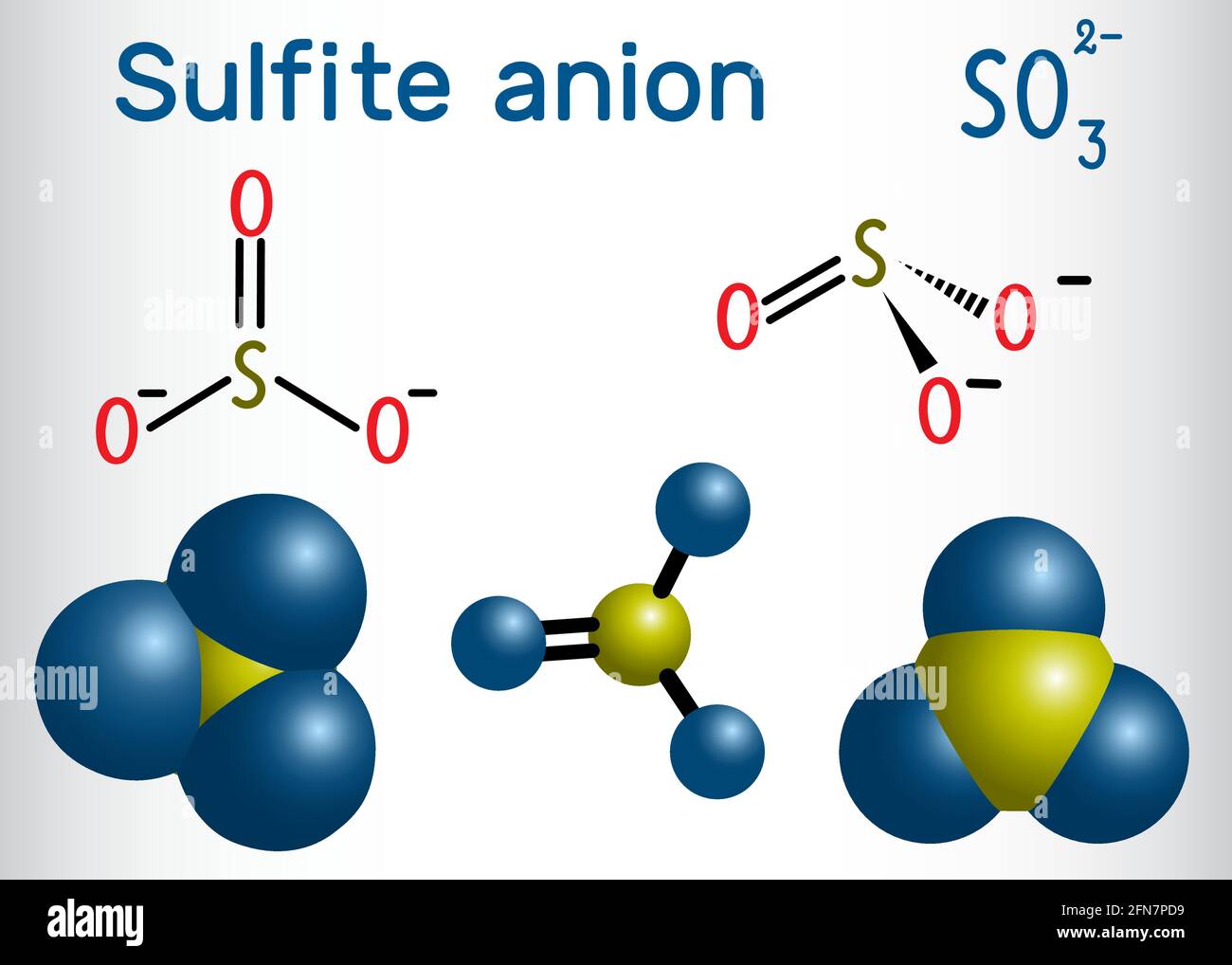 Sulfite anion molecule. Sulfites (sulphites) are used as regulated food additives. Structural chemical formula and molecule model. Vector illustration Stock Vector