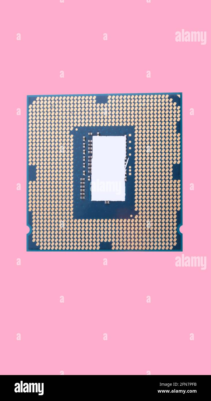 central Processor unit isolated on pink background at dry sunny day ...