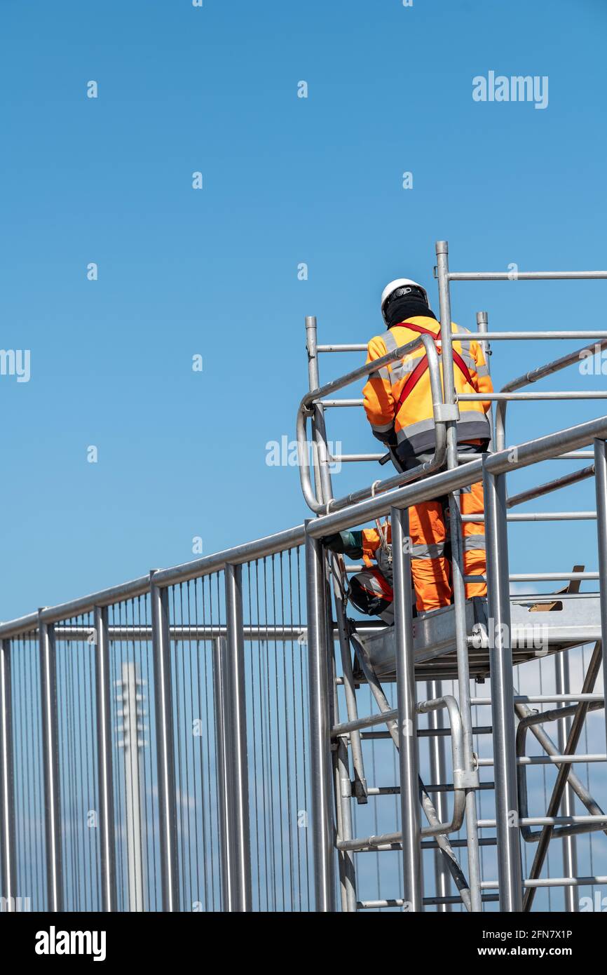 Workers working on scaffolding Stock Photo