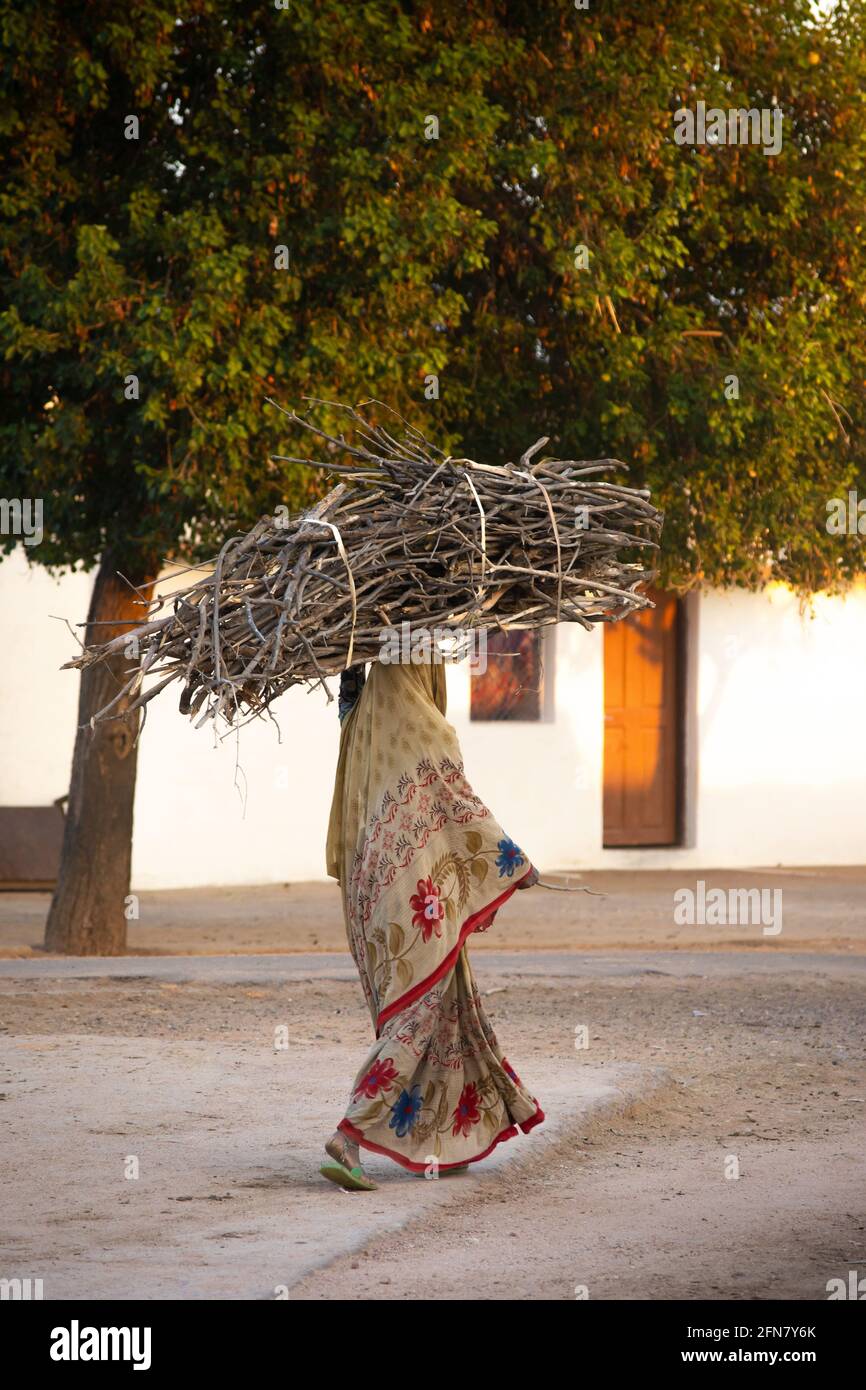 Unidentified indian woman carrying firewood on road Stock Photo