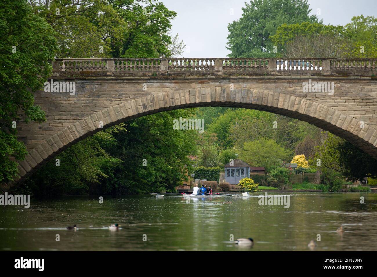 Rowers on the River Avon by St Nicholas' Park in Warwick. Picture date:  Saturday May 15, 2021 Stock Photo - Alamy