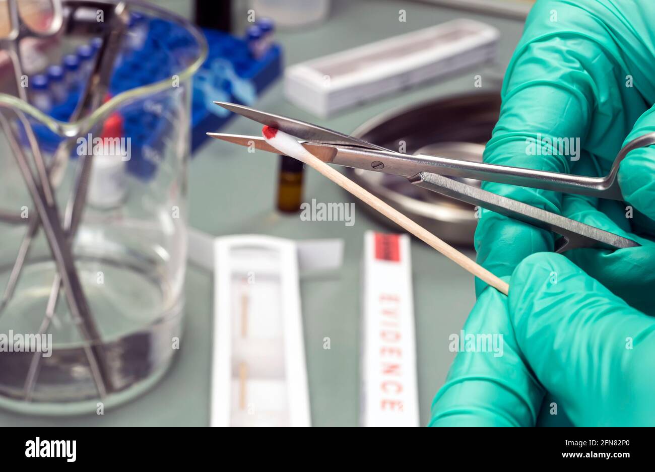 Specialized criminalistic police cut with blood swab scissors, DNA analysis, conceptual image Stock Photo