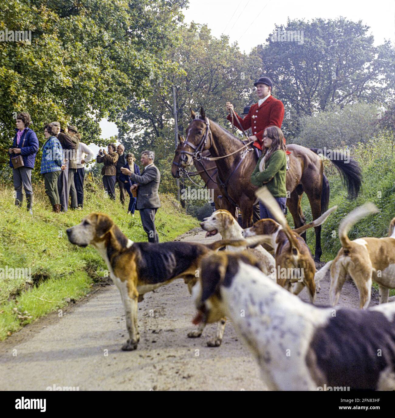 The Devon & Somerset Stag Hounds DSSH hunting red deer  in the Dulverton area of Exmoor in October 1970, Devon, England UK Stock Photo