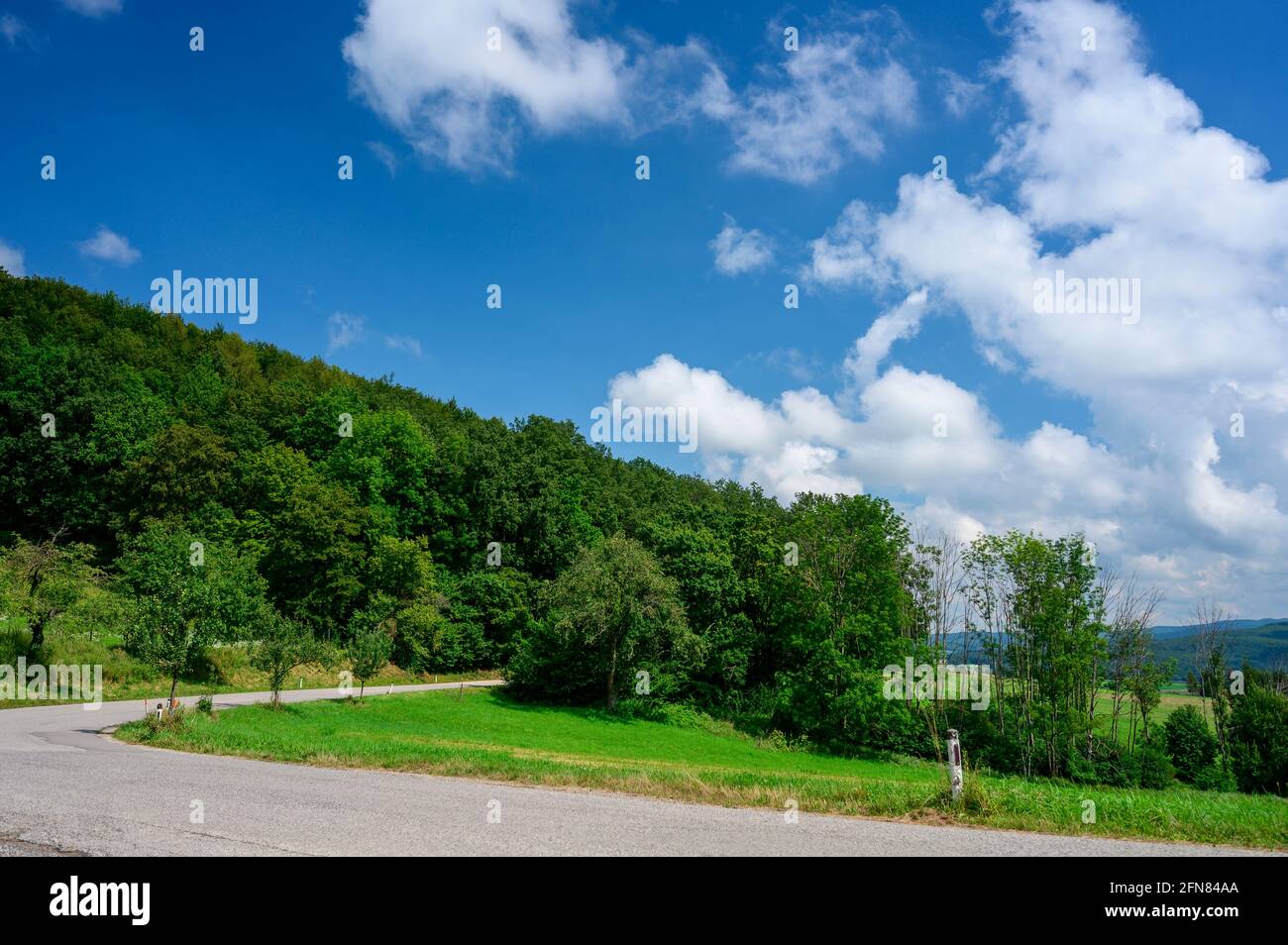 A narrow country road blends into the lush green summer landscape and is framed by a deep blue sky with a few white clouds. Stock Photo