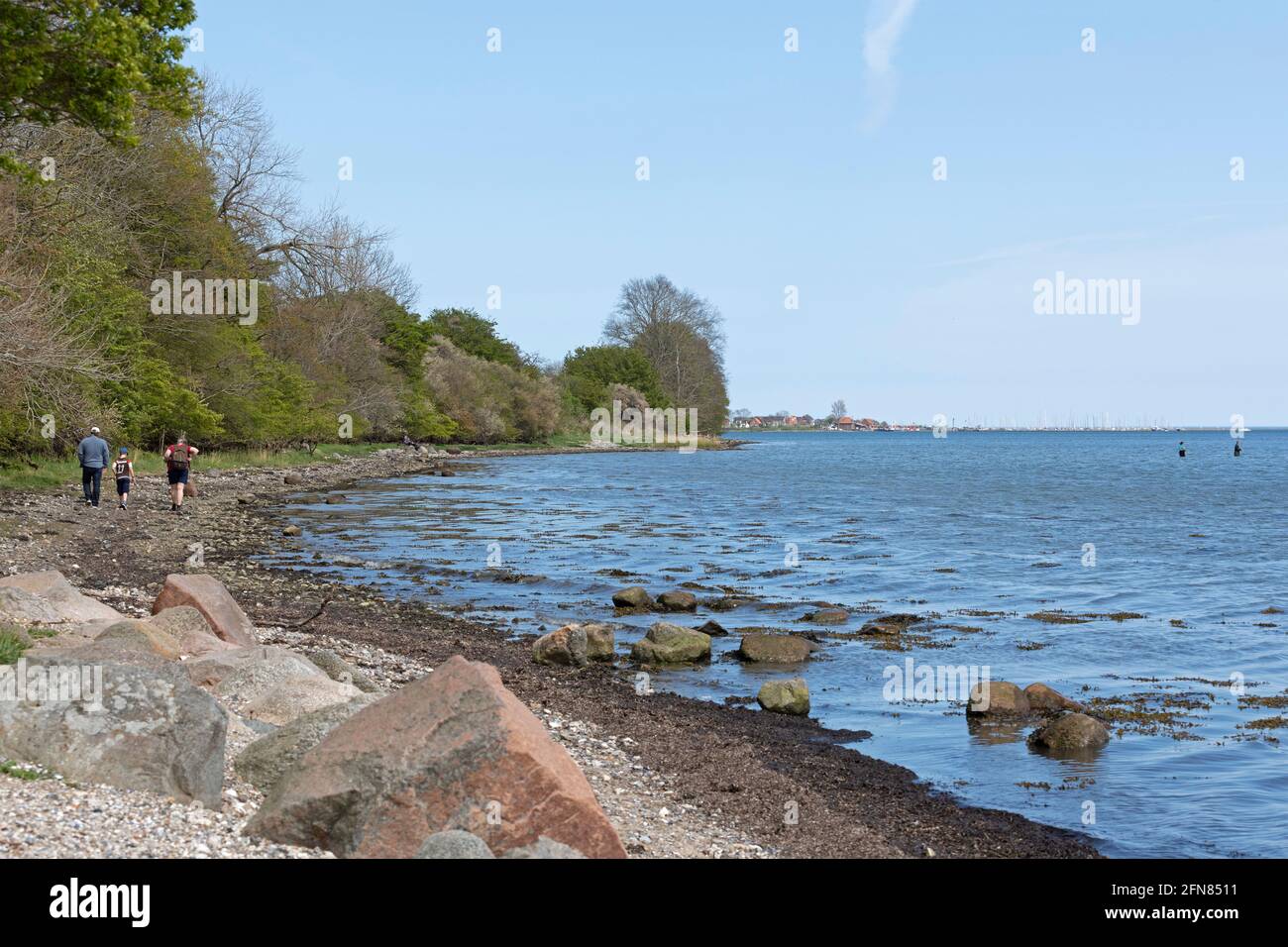 gravel beach, Rabelsund, Rabel, Schlei, Schleswig-Holstein Germany Stock Photo