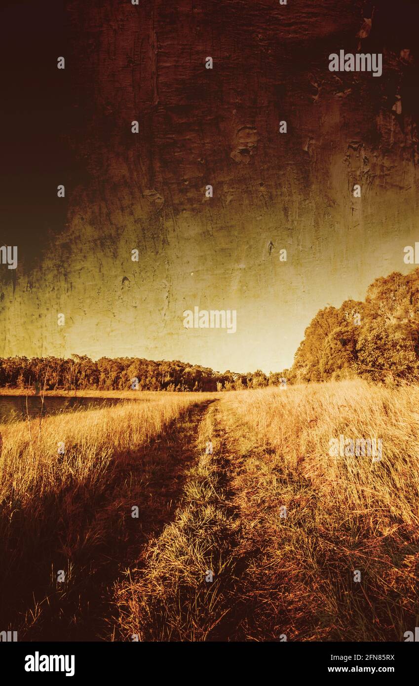 Pathway Leading Into Distance High Resolution Stock Photography and ...