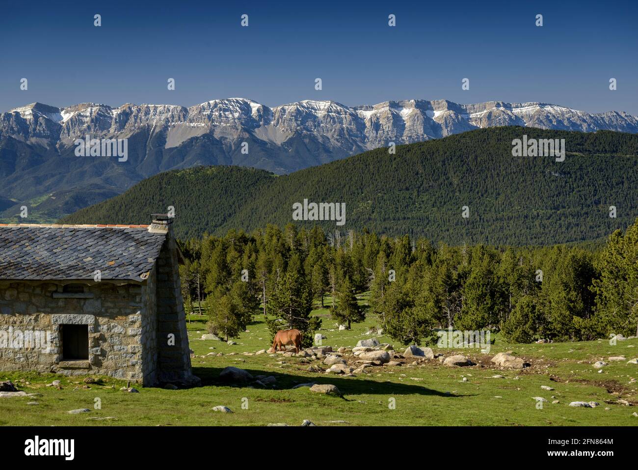 Pradell refuge in spring. In the background, the Serra del Cadí mountain range (Cerdanya, Catalonia, Spain, Pyrenees) Stock Photo
