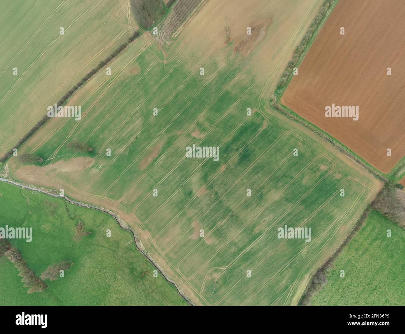 Photo mosaic of crop marks showing the Roman Villa at Broughton Castle, Oxfordshire, England to be excavated by the New Time Stock Photo