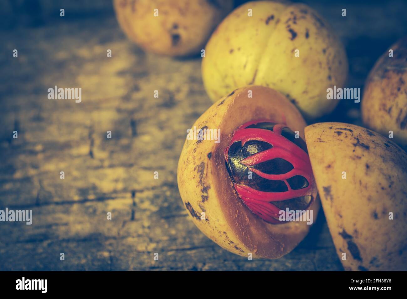 Pile of fresh nutmeg fruit with red placenta like cover of seed of Pile of fresh nutmeg fruit with red placenta like cover of seed of