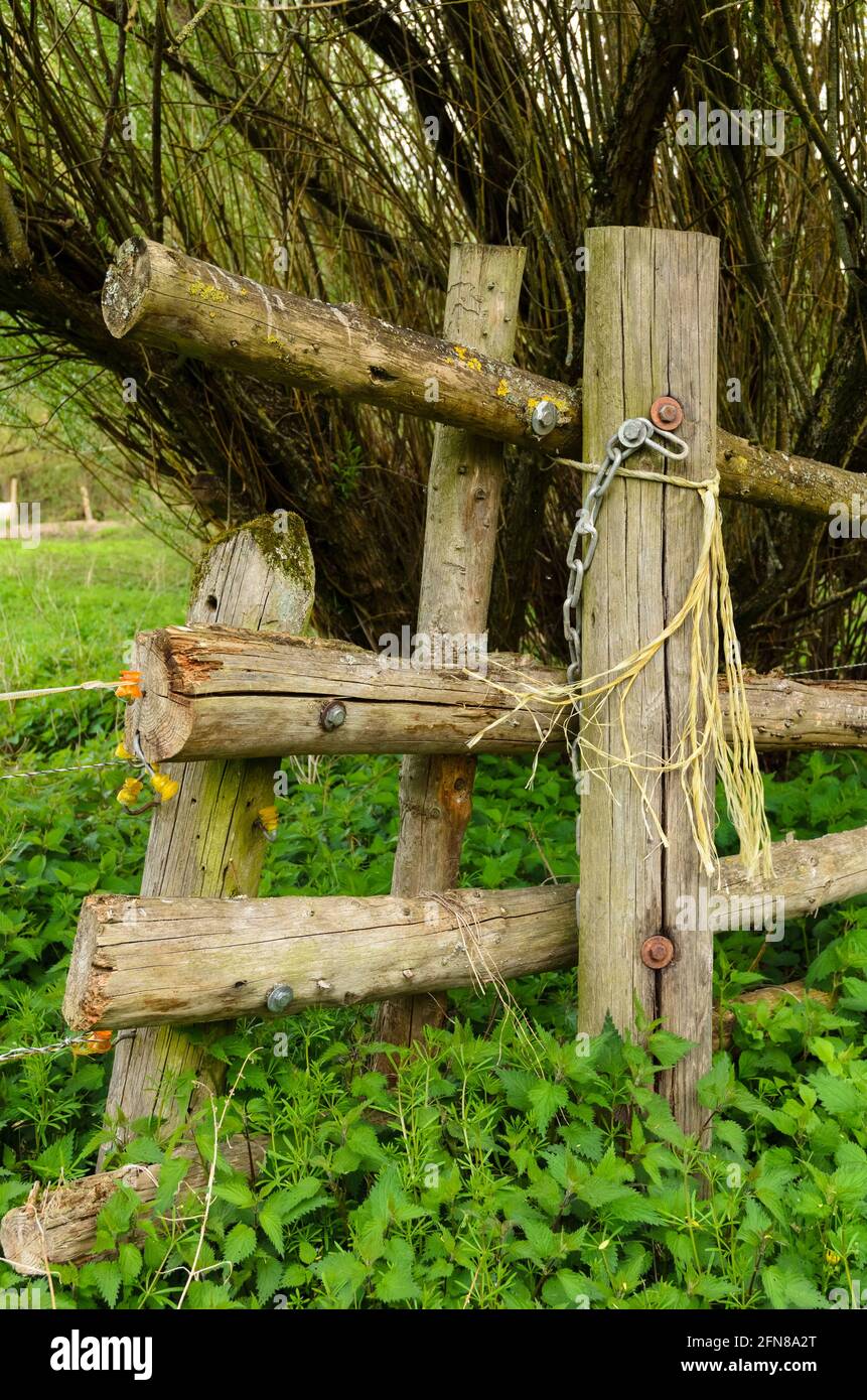 Old wooden fence poles hi-res stock photography and images - Alamy