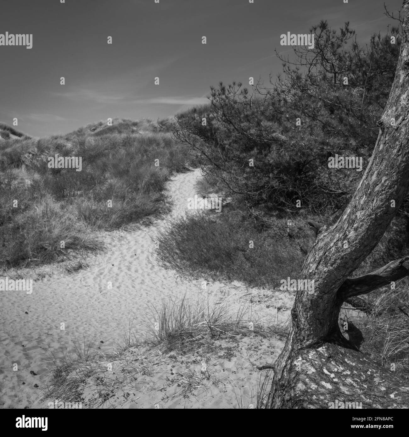 A black and white scenic view of Ainsdale Sands, Southport, Merseyside, Greater Manchester. Stock Photo