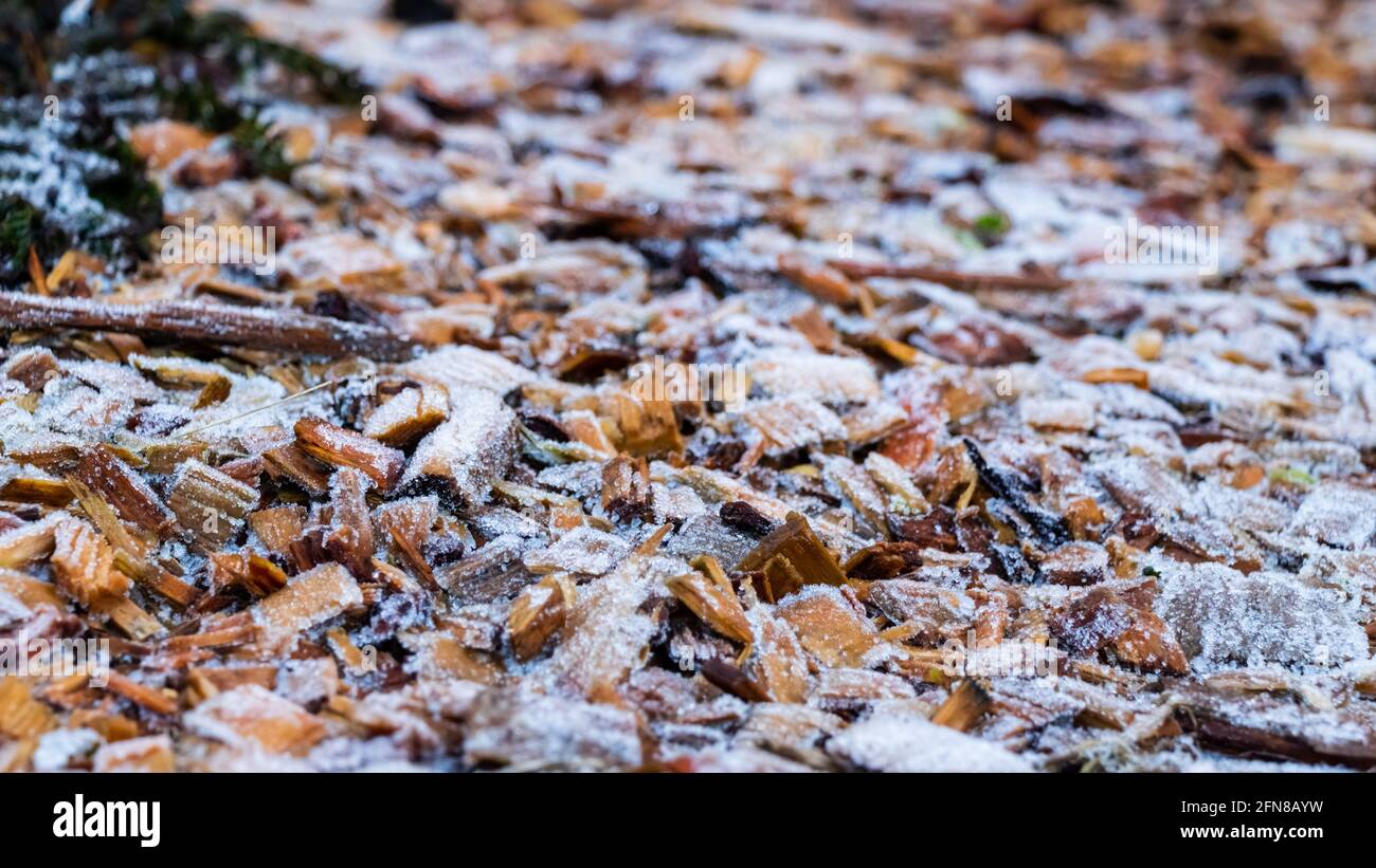 Close up of white frost covered wood chips in winter Stock Photo