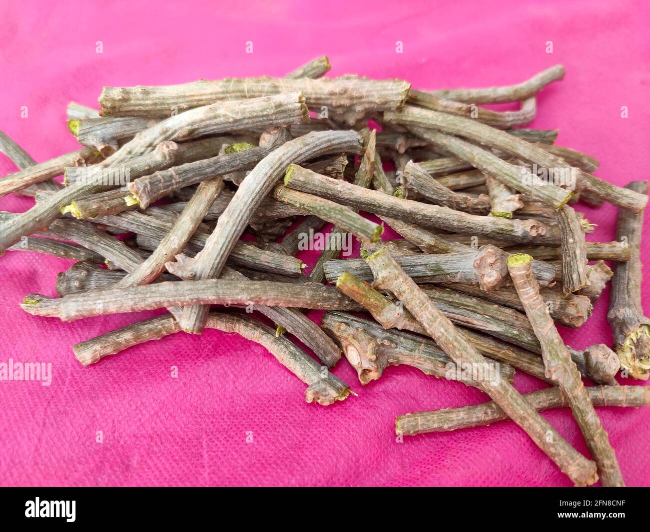 giloy stick with pink background Stock Photo