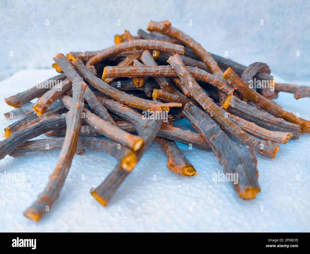 giloy stick with white background Stock Photo