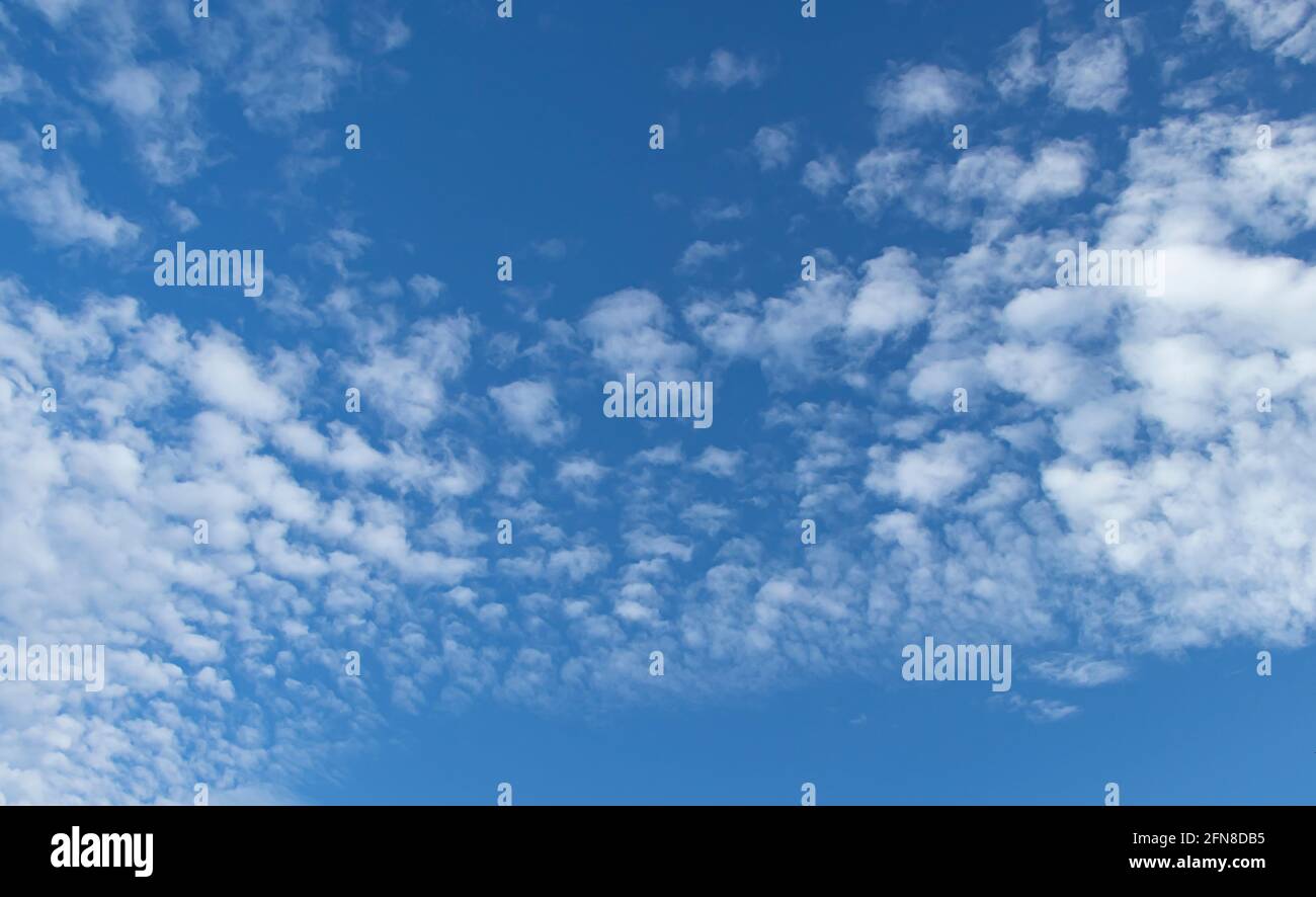 Blue sky with white clouds. Spindrift clouds. Stock Photo