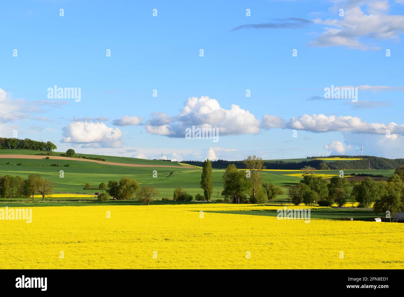 fast moving clouds over yellow fields Stock Photo
