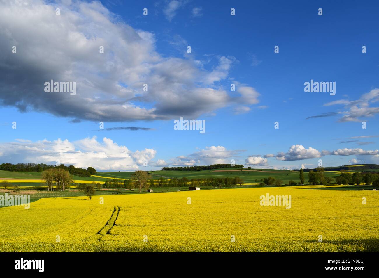 fast moving clouds over yellow fields Stock Photo