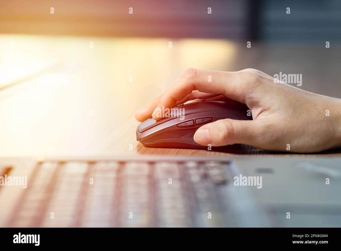 Close up of business woman hand using mouse with computer laptop for working in office. Stock Photo