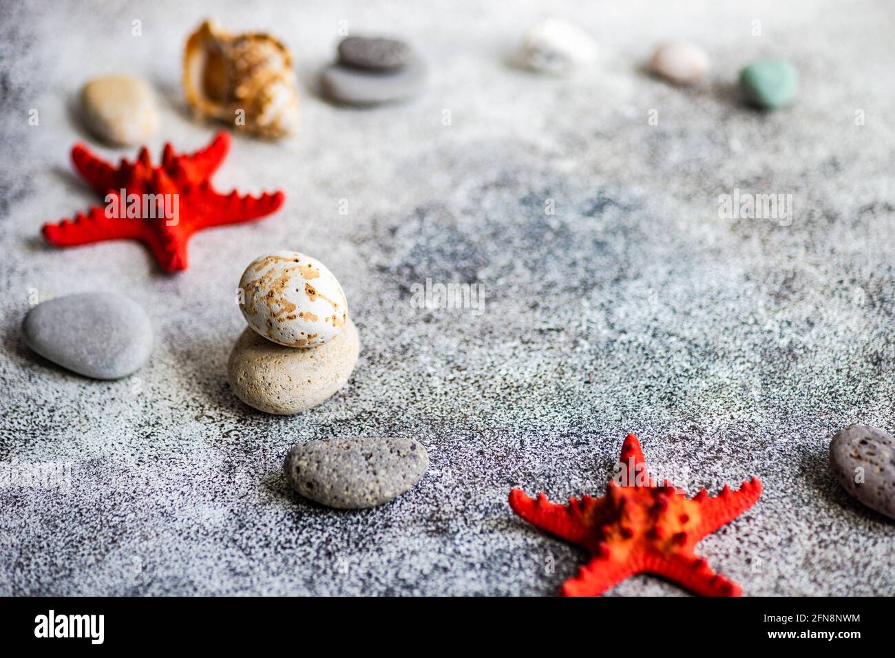 Flat lay summer composition with sea shells Stock Photo