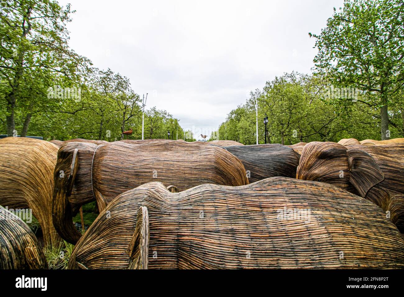 LONDON 15 May 2021. 125 lifesize elephant sculptures are displayed in