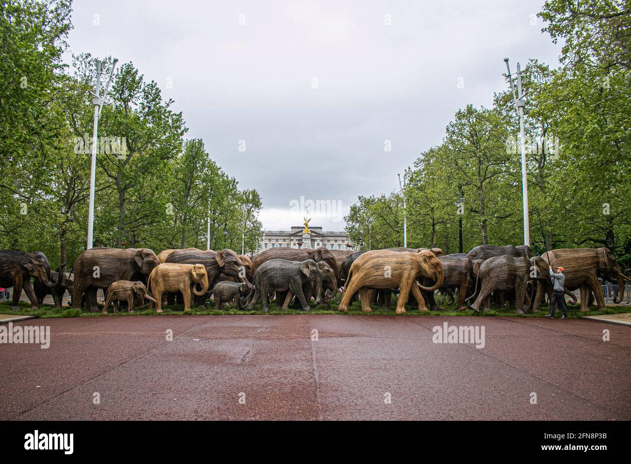 LONDON 15 May 2021. 125 lifesize elephant sculptures are displayed in