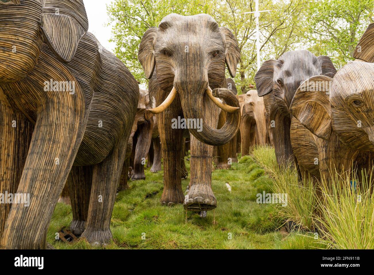 Life sized herd of Asian elephants made from bamboo down The Mall as