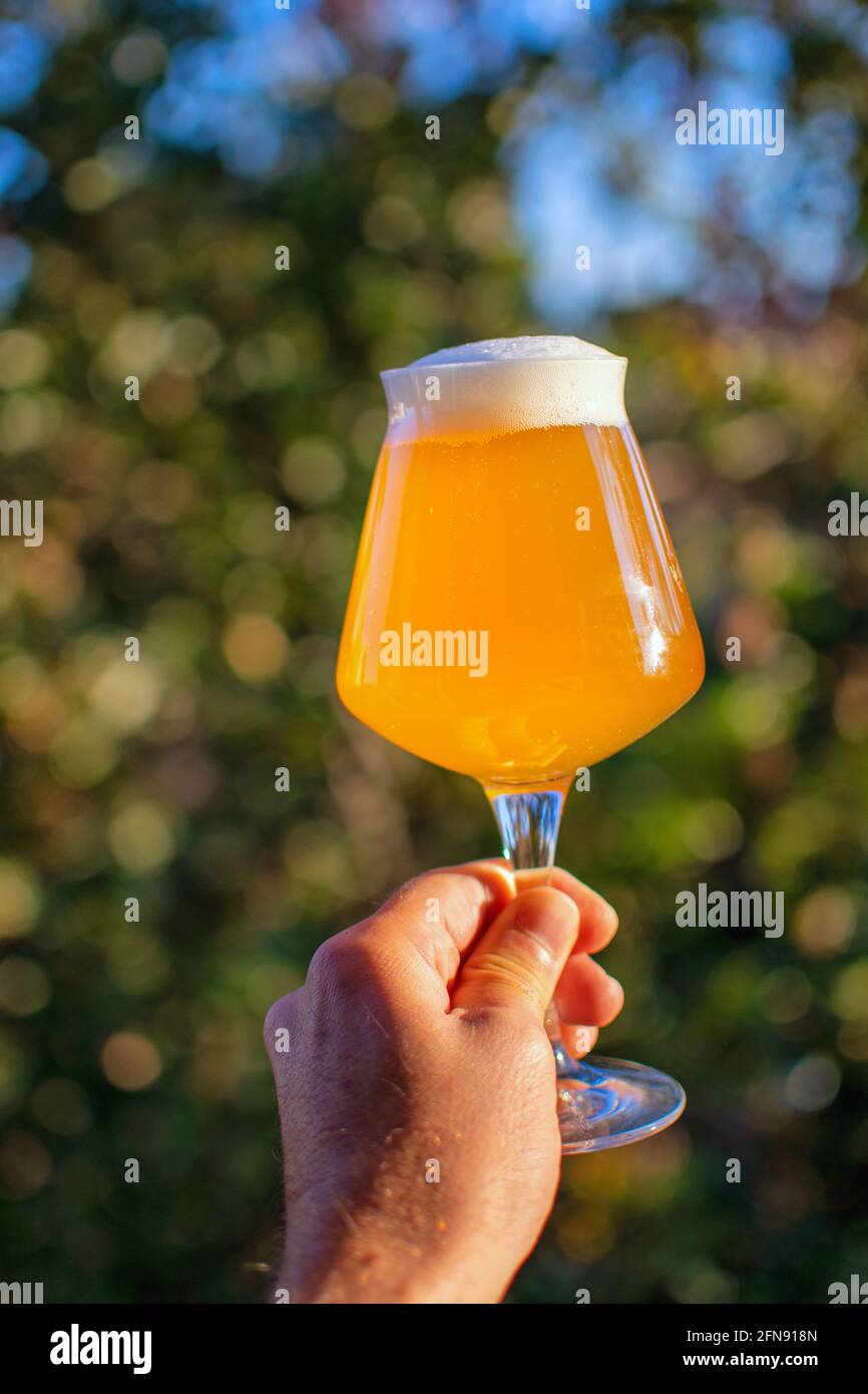 Home brewed beer Stock Photo Alamy