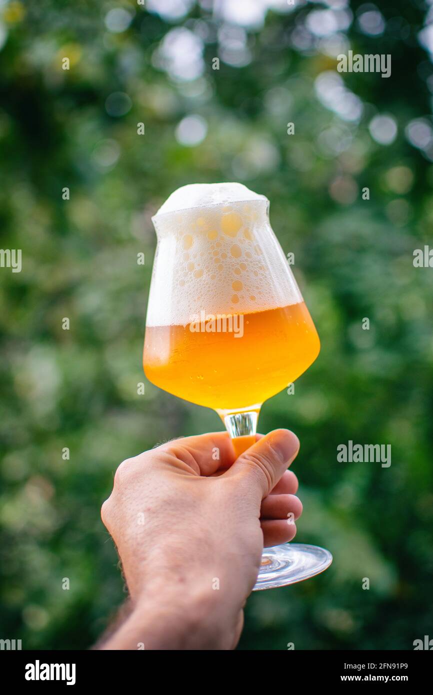 Home brewed beer Stock Photo Alamy