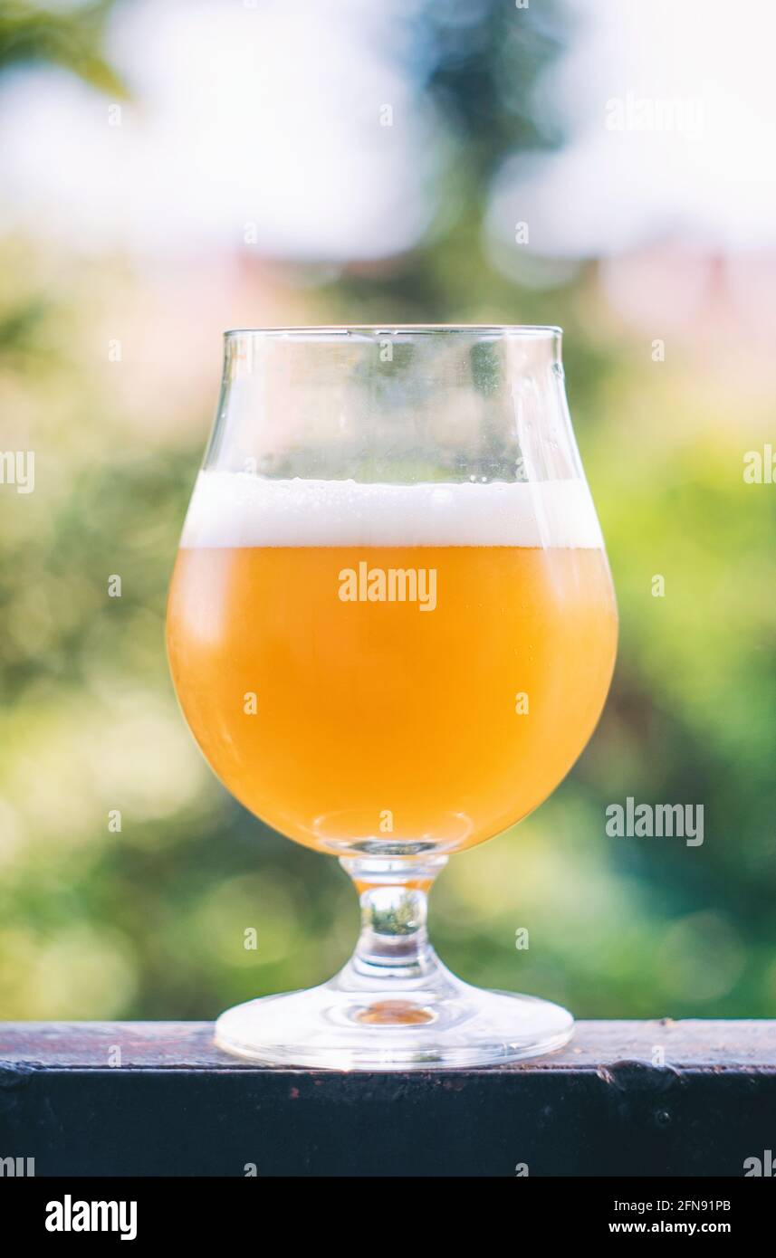 Home brewed beer Stock Photo Alamy