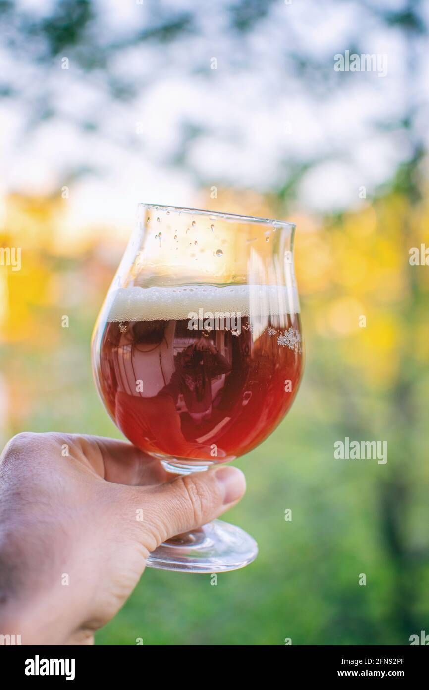 Home brewed beer Stock Photo Alamy
