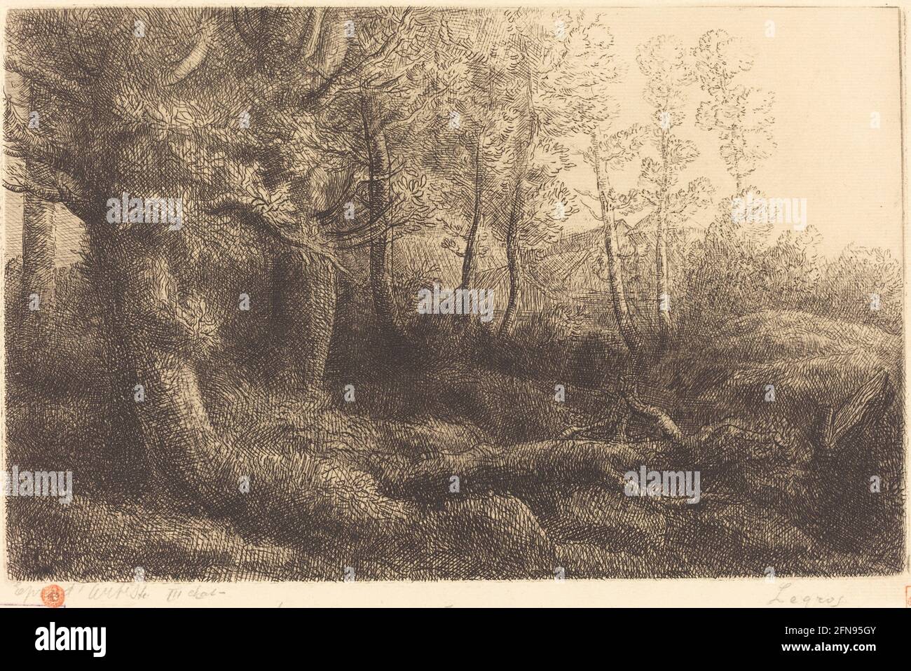 In the Forest (Lisiere de foret Stock Photo - Alamy