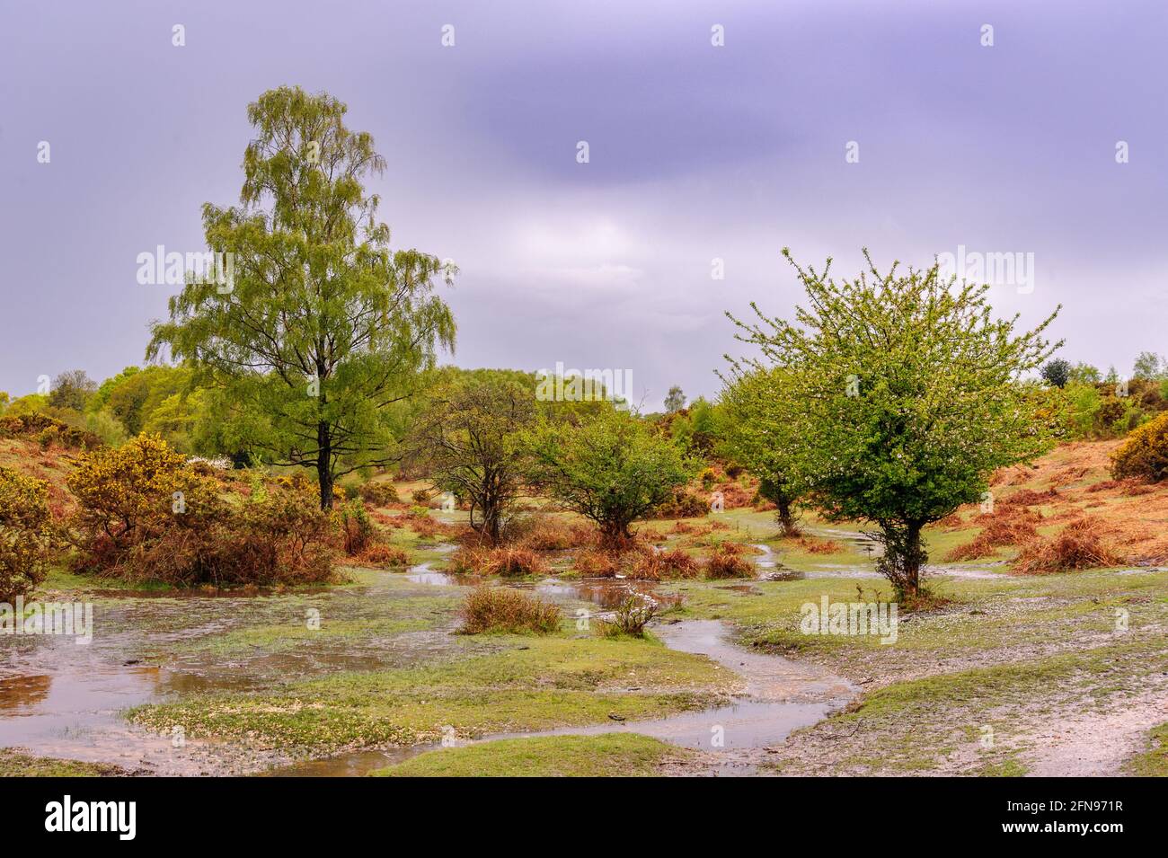 Heavy rain showers hires stock photography and images Alamy
